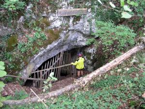 Kraška jama Malikovec 1